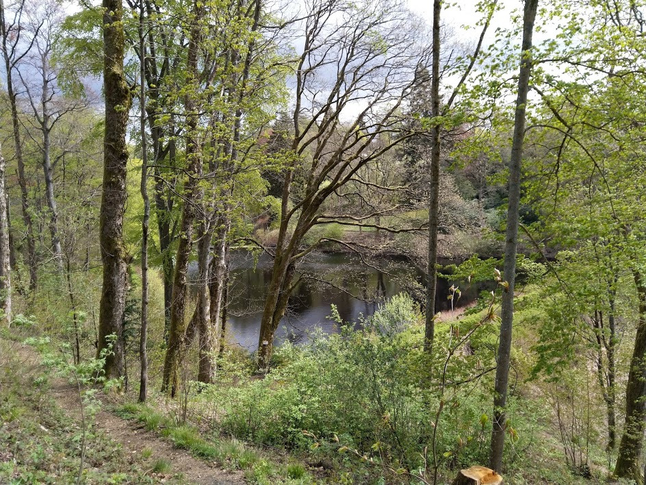 Dorfteich
