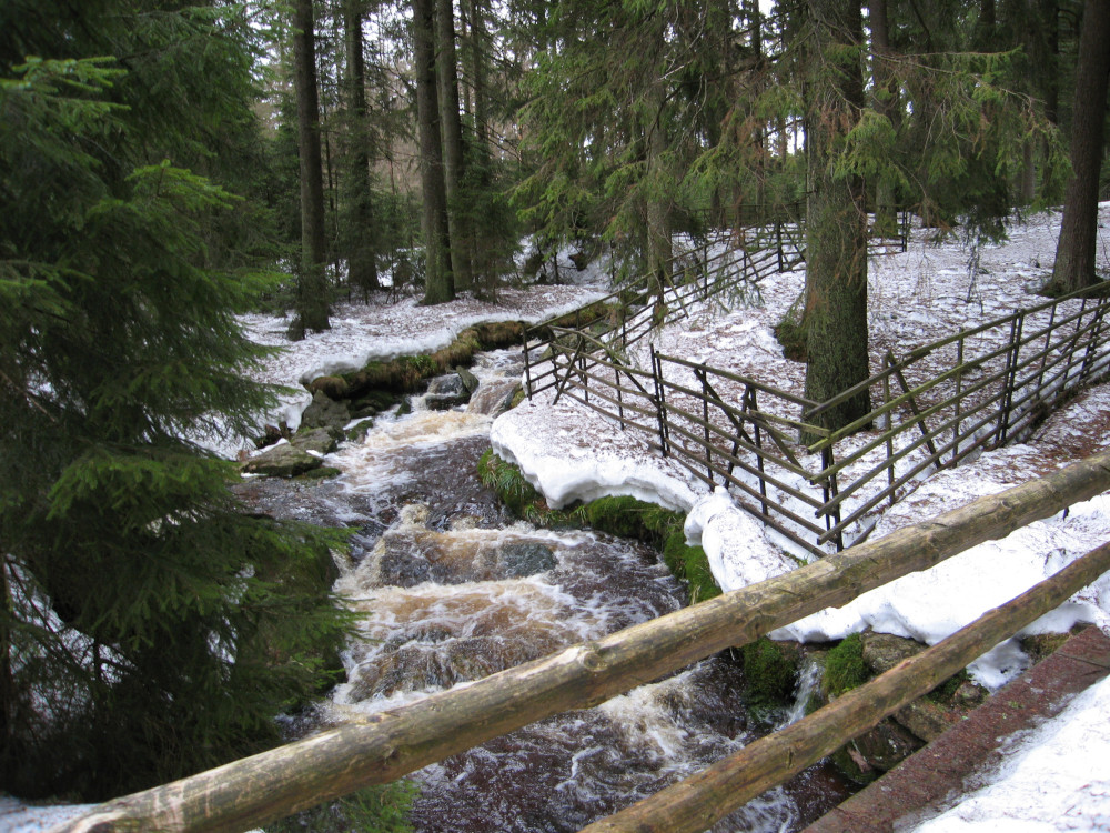 wildes wasser
