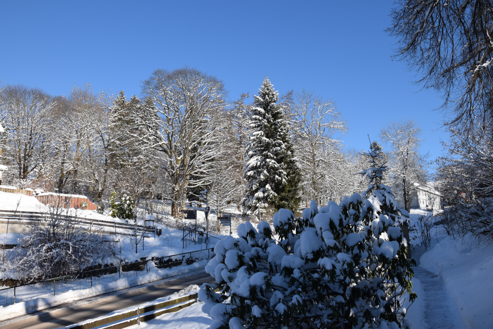 Winter